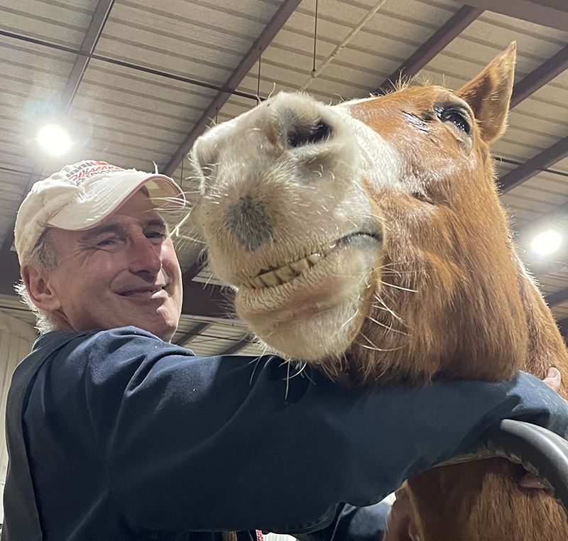 lady petting a horse